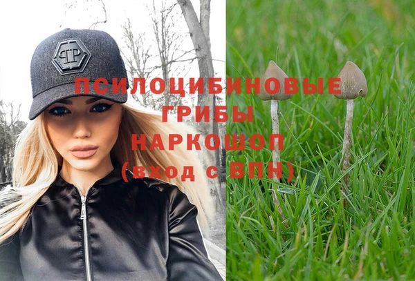 спиды Армянск