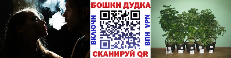 даркнет сайт  Новый Оскол  Канабис LSD WEED 